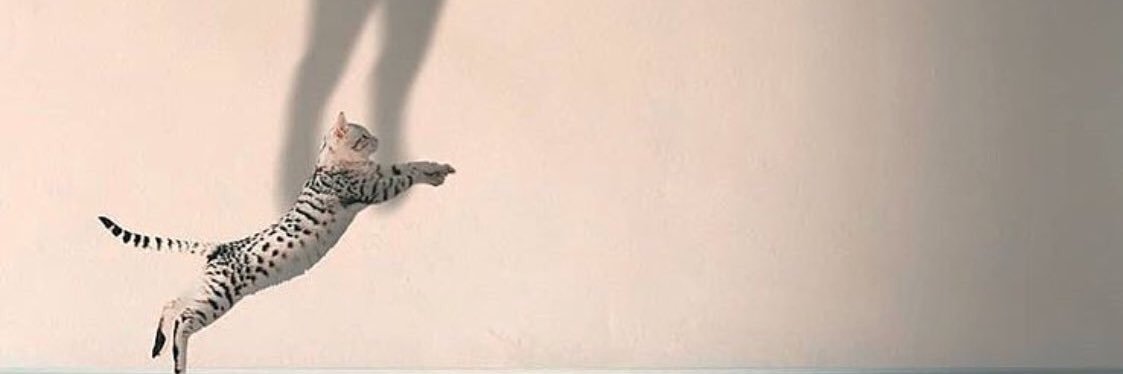 ItzelTalamante6's profile banner image