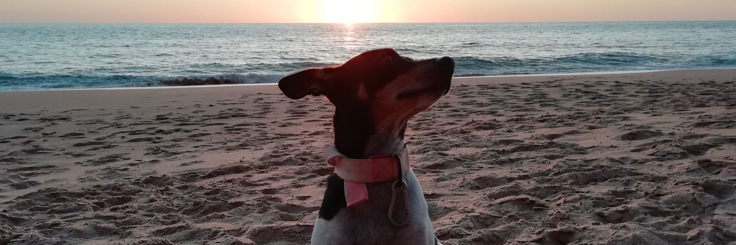 trilobatio's profile banner image