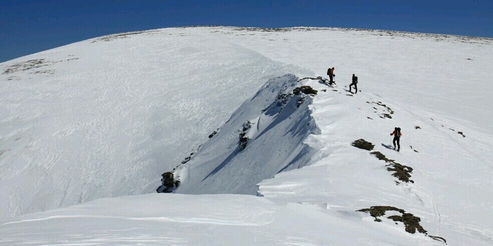 Algarradas's profile banner image