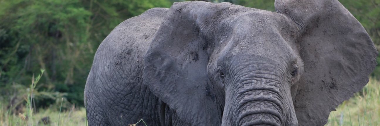 brenboucher24's profile banner image
