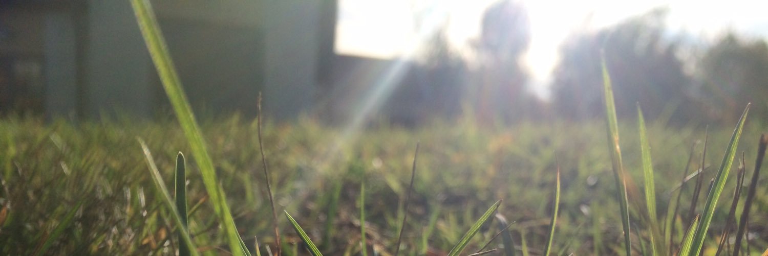 Skansenlot's profile banner image