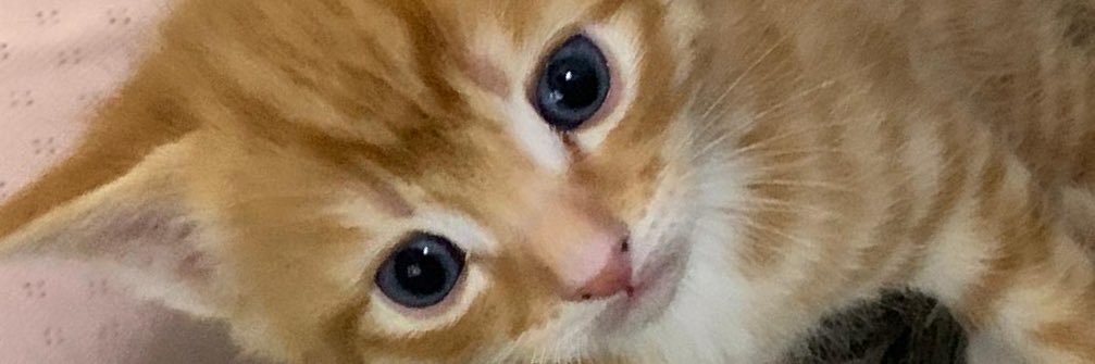 colivia94's profile banner image