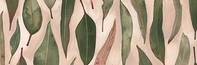 NaniRosane's profile banner image