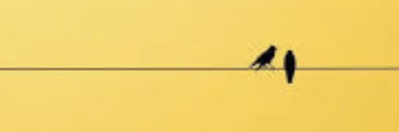 nouuf_o's profile banner image