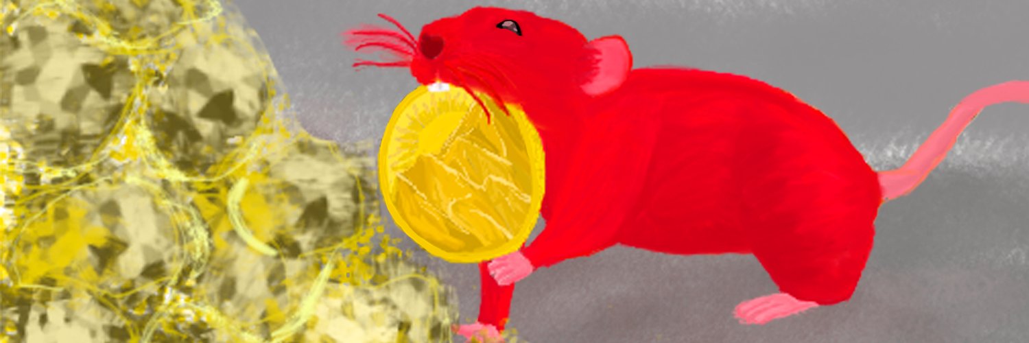 ningningoz's profile banner image