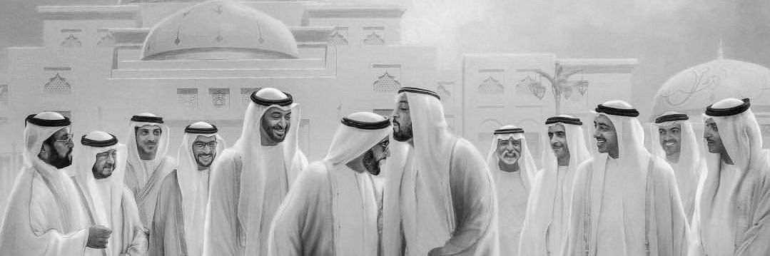 AmerAlJanahi's profile banner image