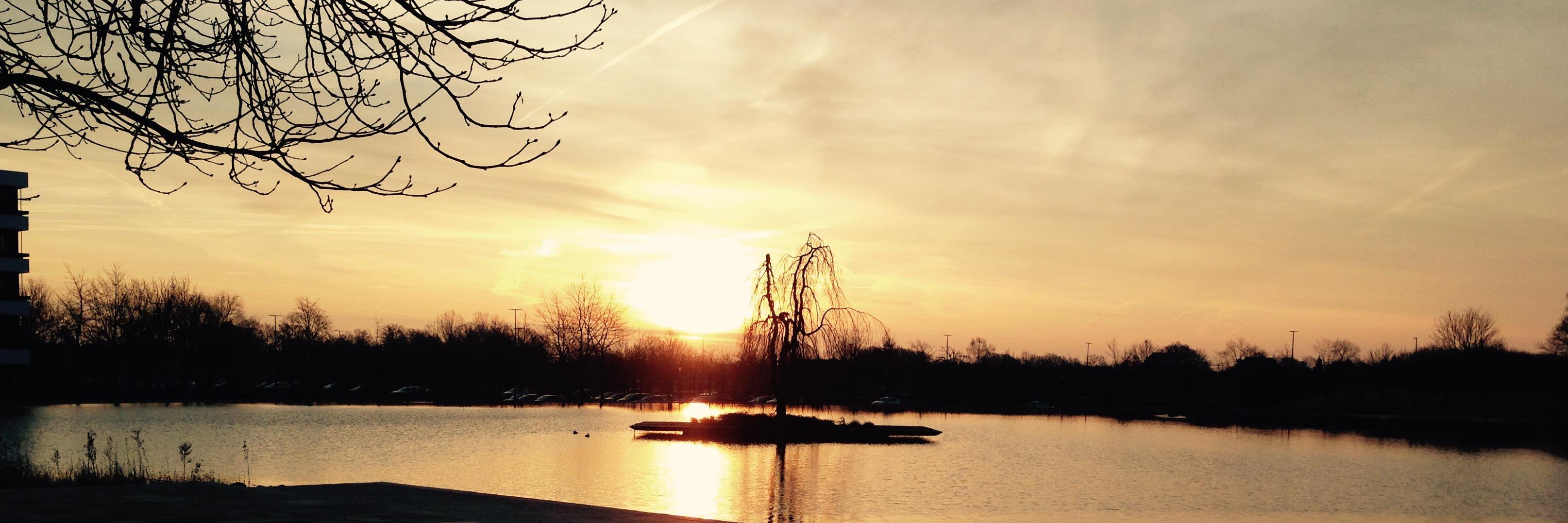romanwink's profile banner image
