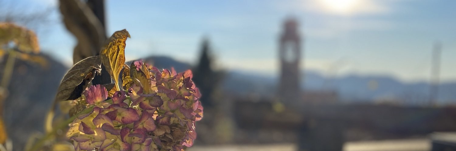 Valentina D. banner