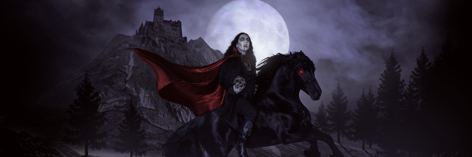 The Sixth Chamber banner