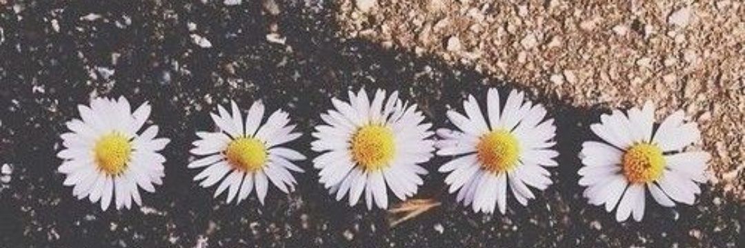 MicaLignac's profile banner image