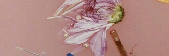 Dulcebf98's profile banner image