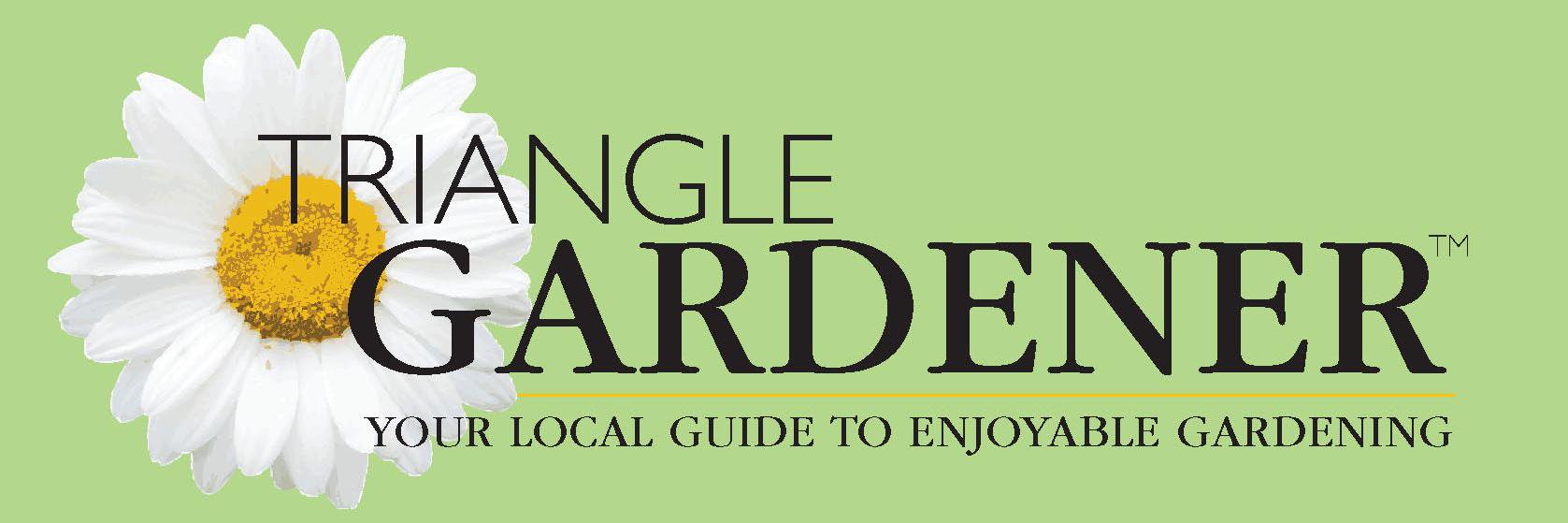 TriangleGarden's profile banner image
