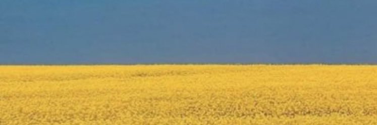 Cyclopathetic's profile banner image