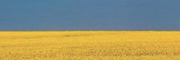 Cyclopathetic Profile Banner