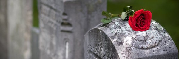 BpRobertReed Profile Banner