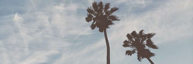 MillyAngel25's profile banner image