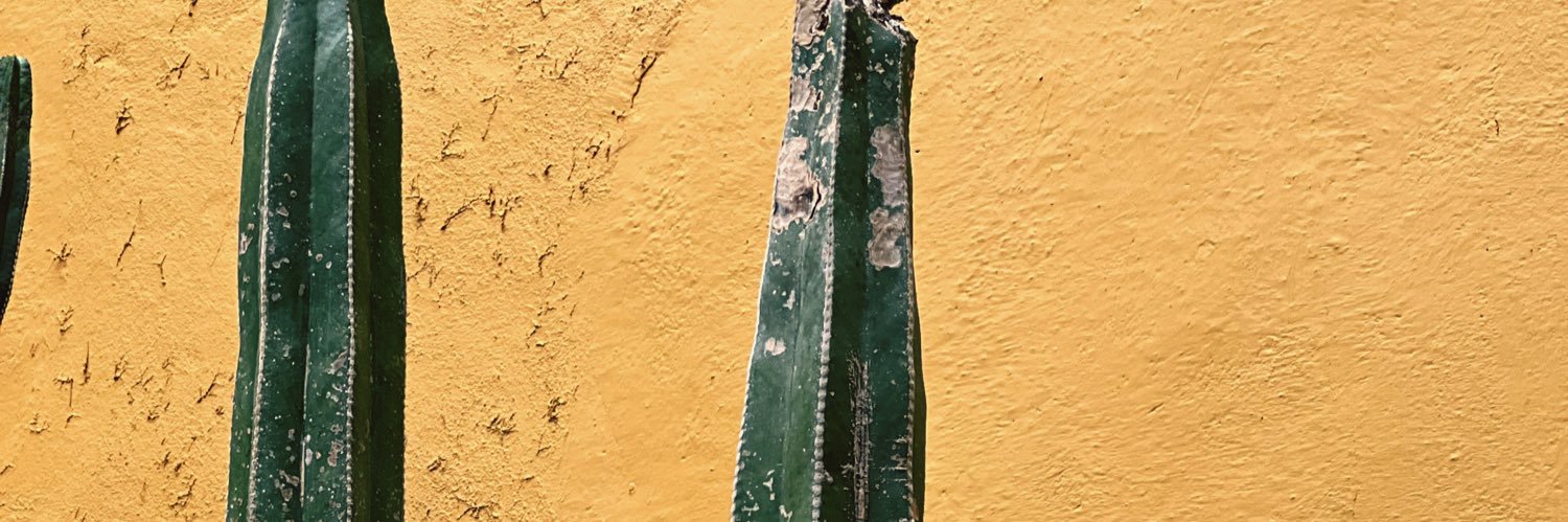 MariaFloreano's profile banner image