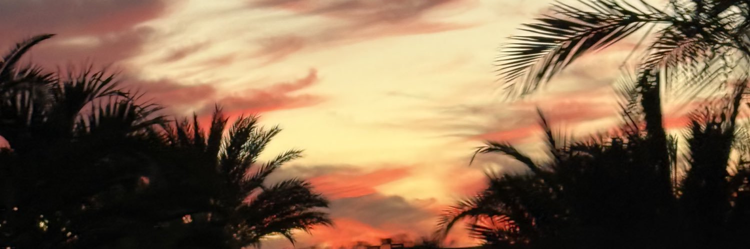 Fritzel_'s profile banner image