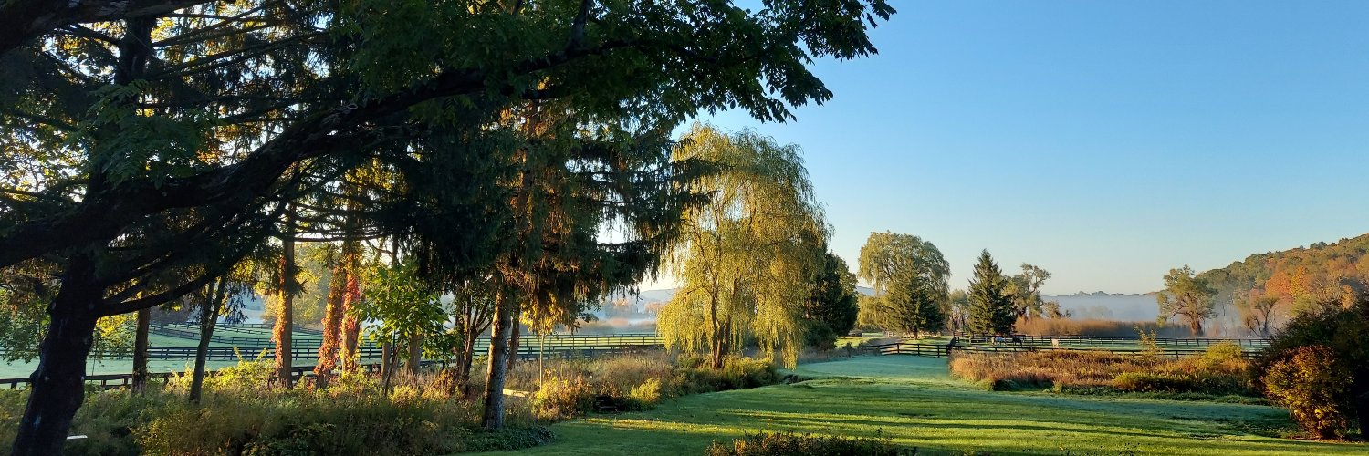 Dan Aronstein banner