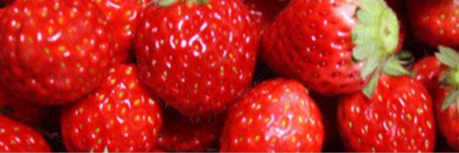 romih16323's profile banner image