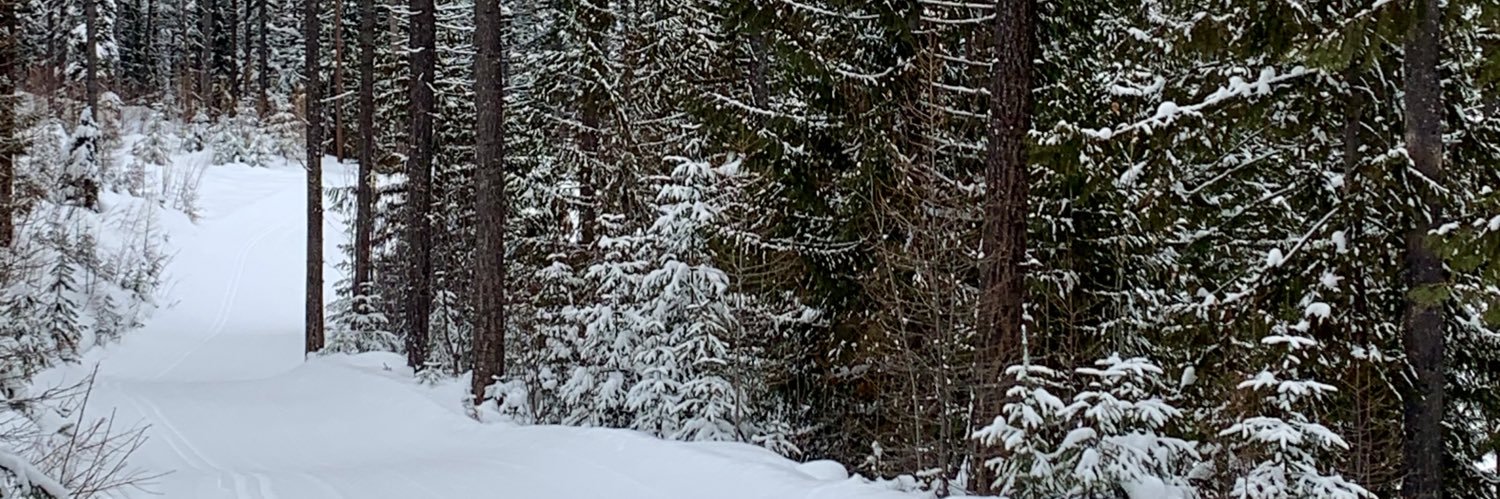 kaitlinsennatt's profile banner image