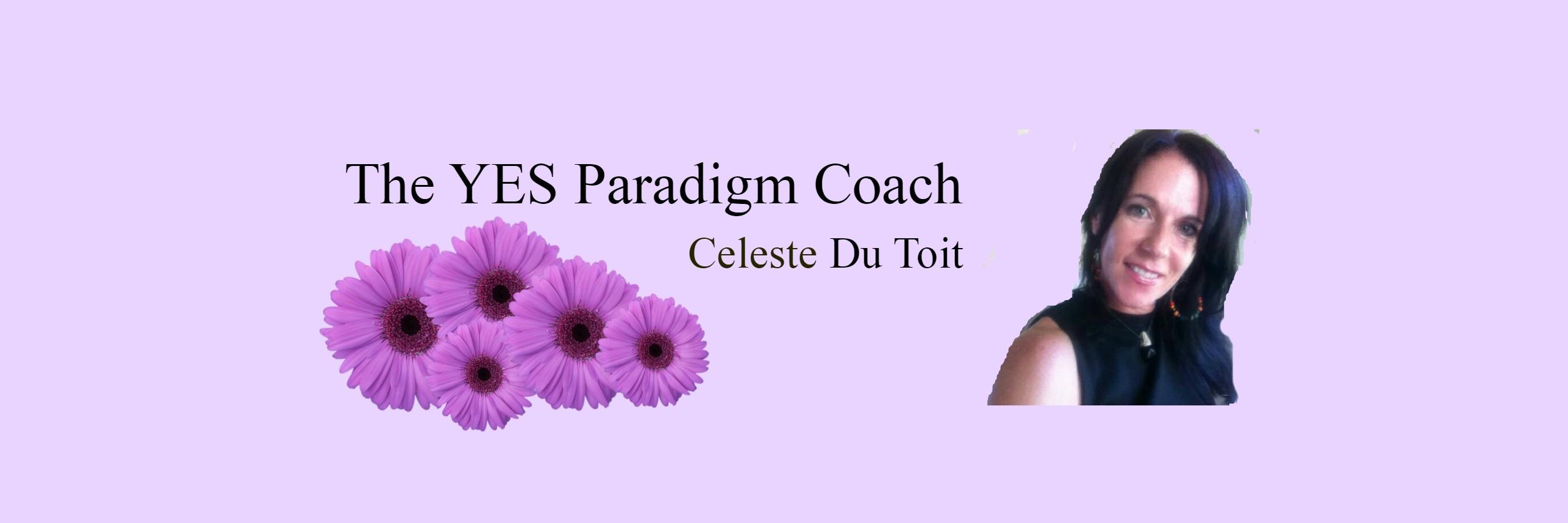 YESParadigm's profile banner image