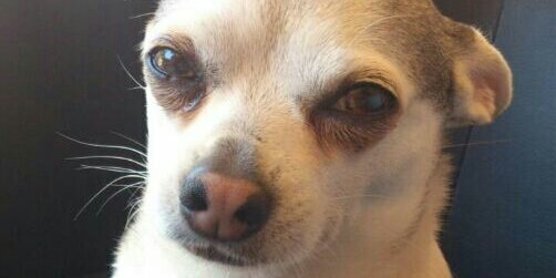 ilyaviero's profile banner image