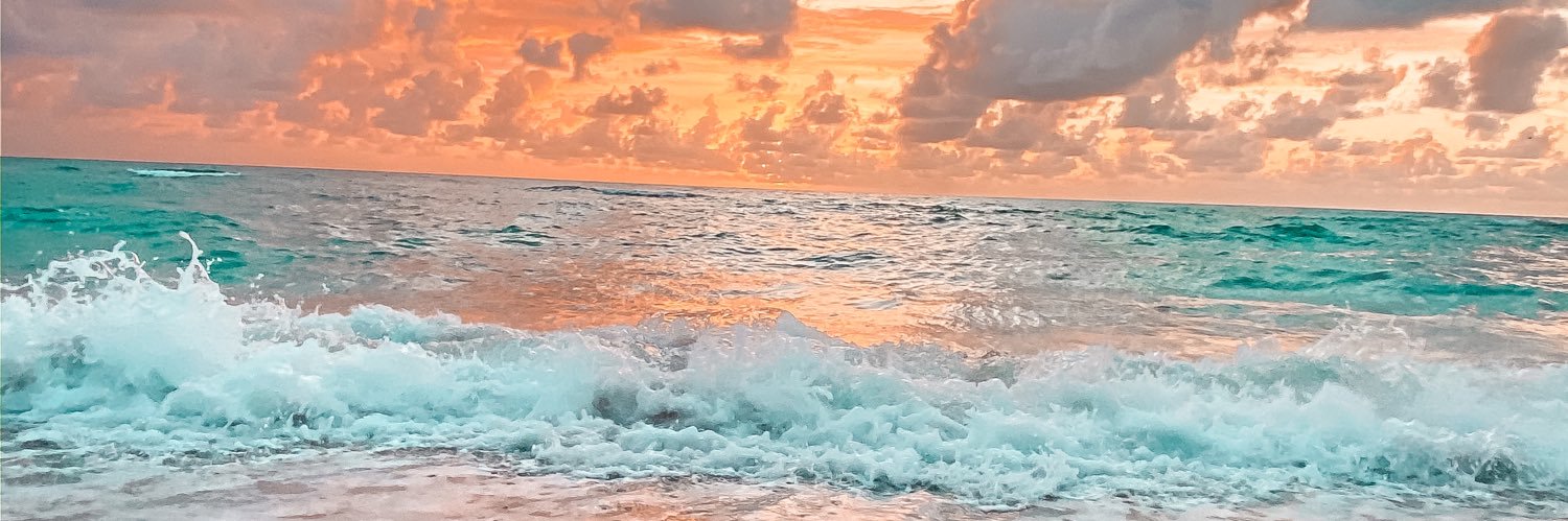 alexxcarmichael's profile banner image