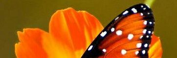 MTYMAD's profile banner image