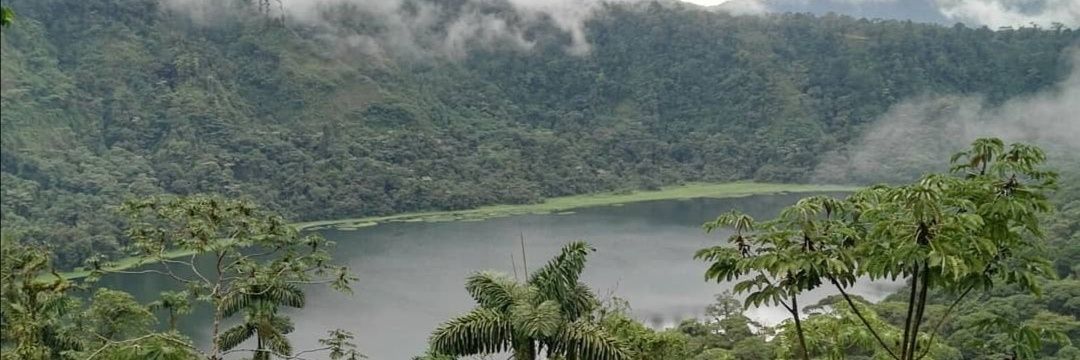 Marko Chaverri banner