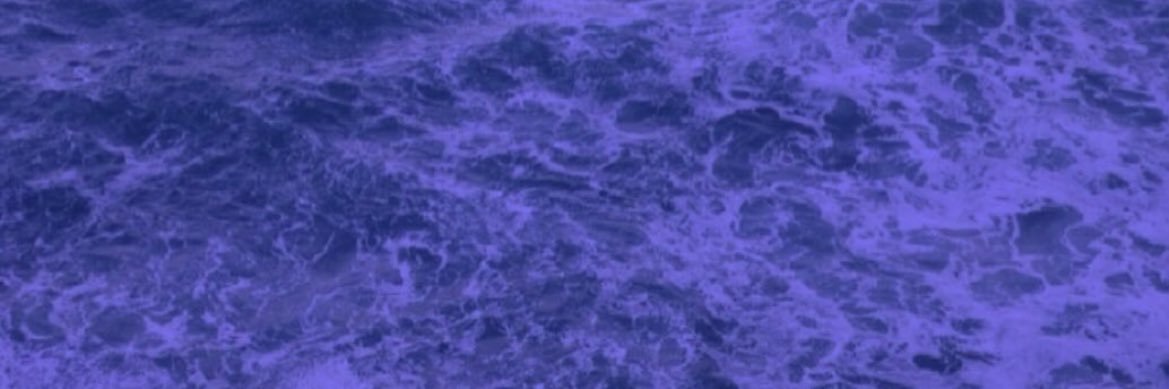 Hellen Gonzalez banner