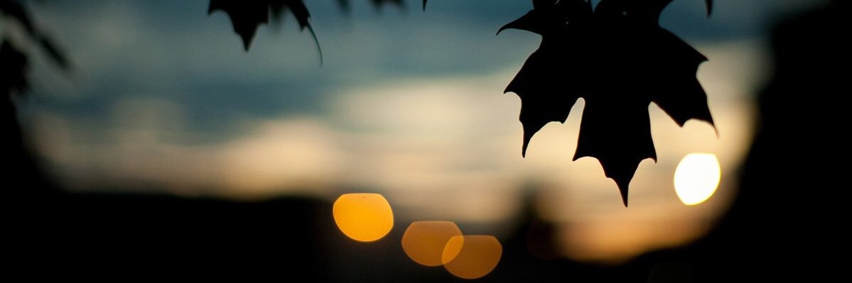 chriskbrown_'s profile banner image