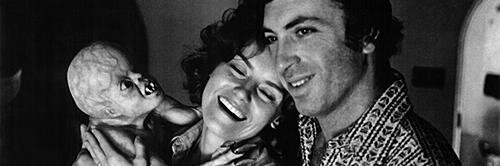 MaxTGreenberg's profile banner image
