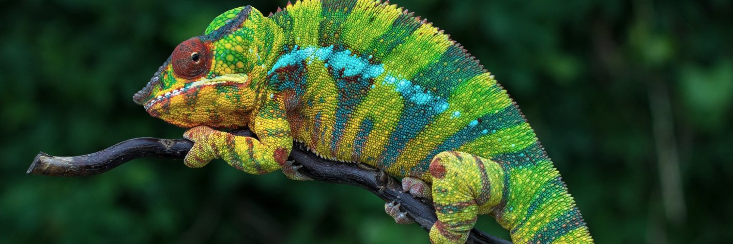 ReveMind's profile banner image