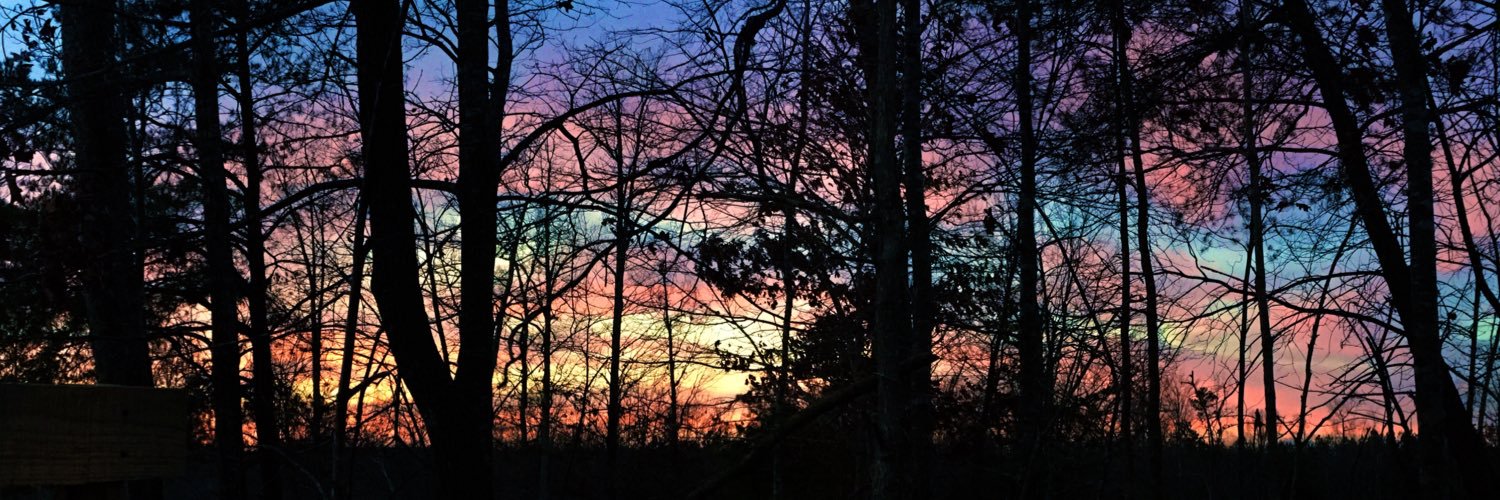 melneighbors's profile banner image