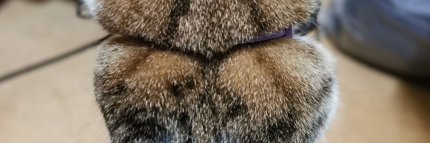 natyu_o's profile banner image