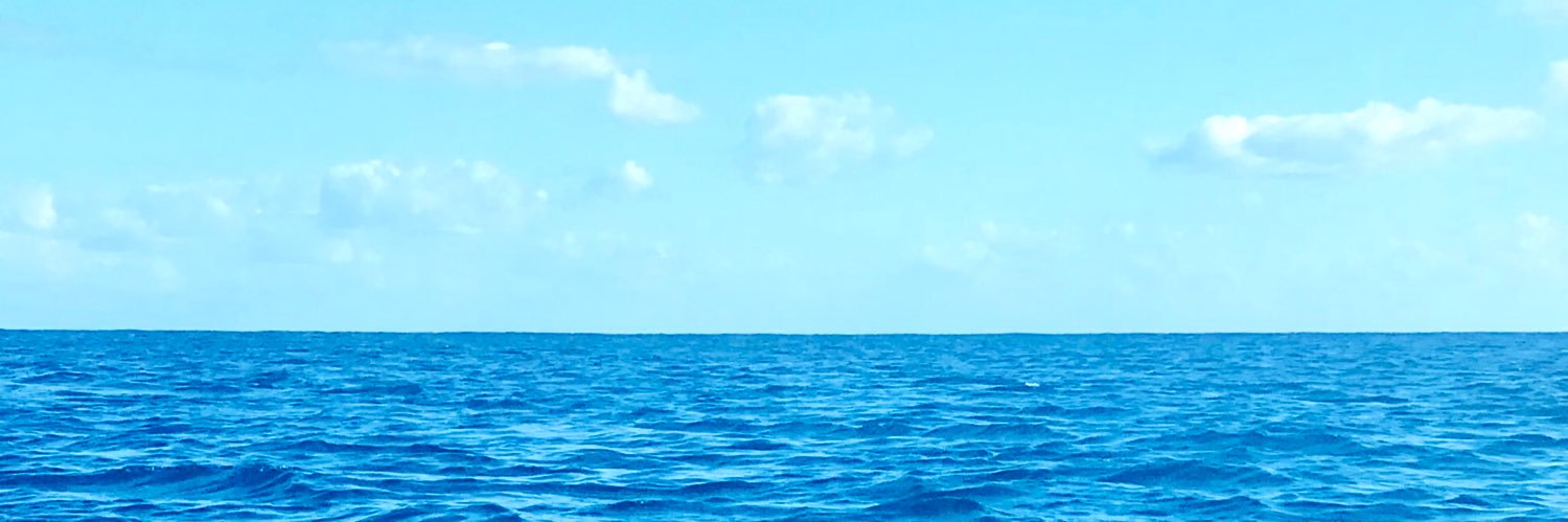 Vanes_sur's profile banner image