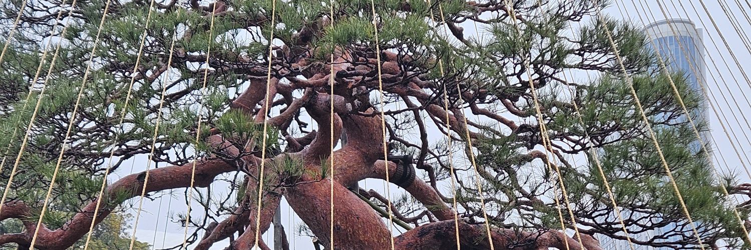 🪷kaioh i miss japan banner