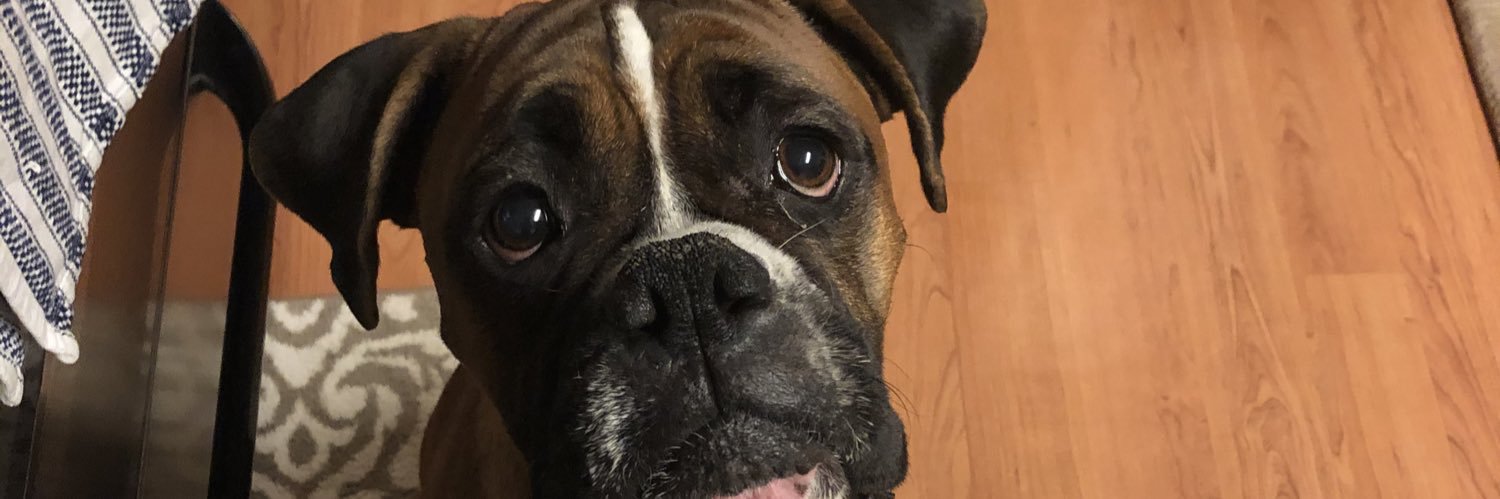 MattNickles1's profile banner image
