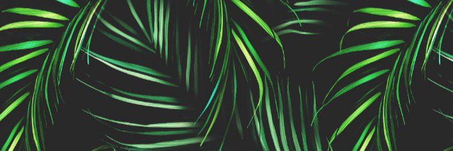 StayGoldenMalik's profile banner image