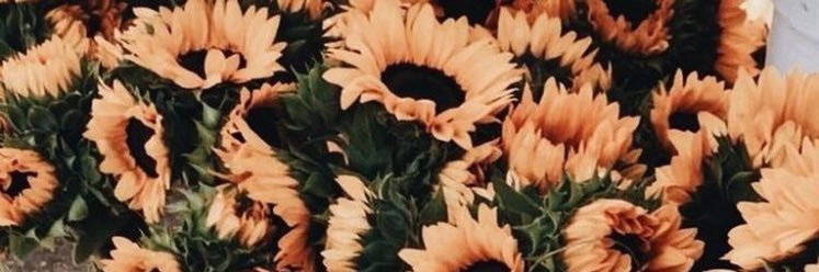 taylor_hook12's profile banner image
