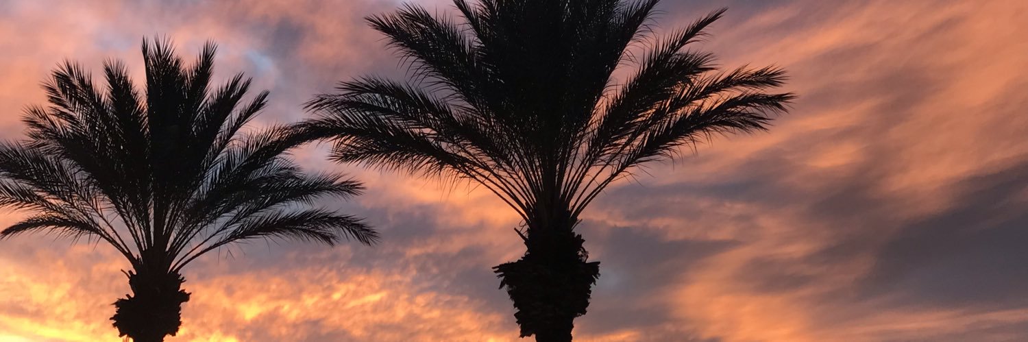 berthalice's profile banner image