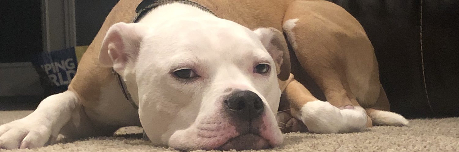 Stixannah_42's profile banner image