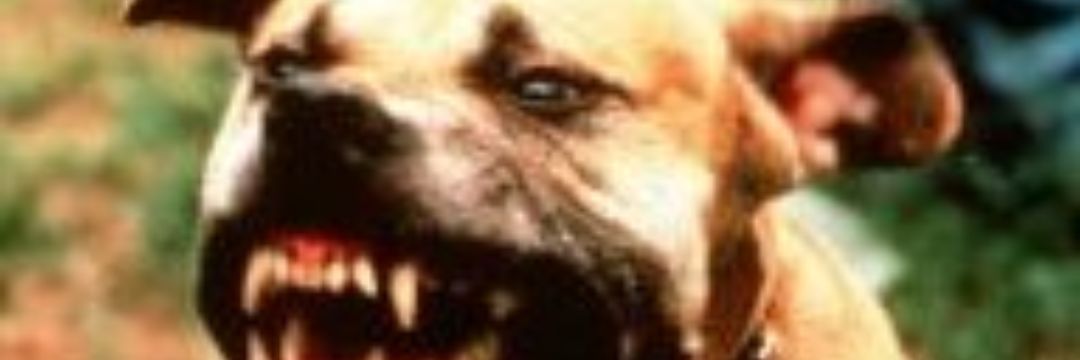 Lilnasee's profile banner image