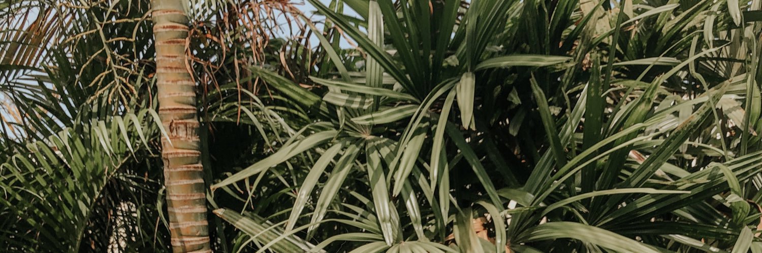 lanawhatever's profile banner image