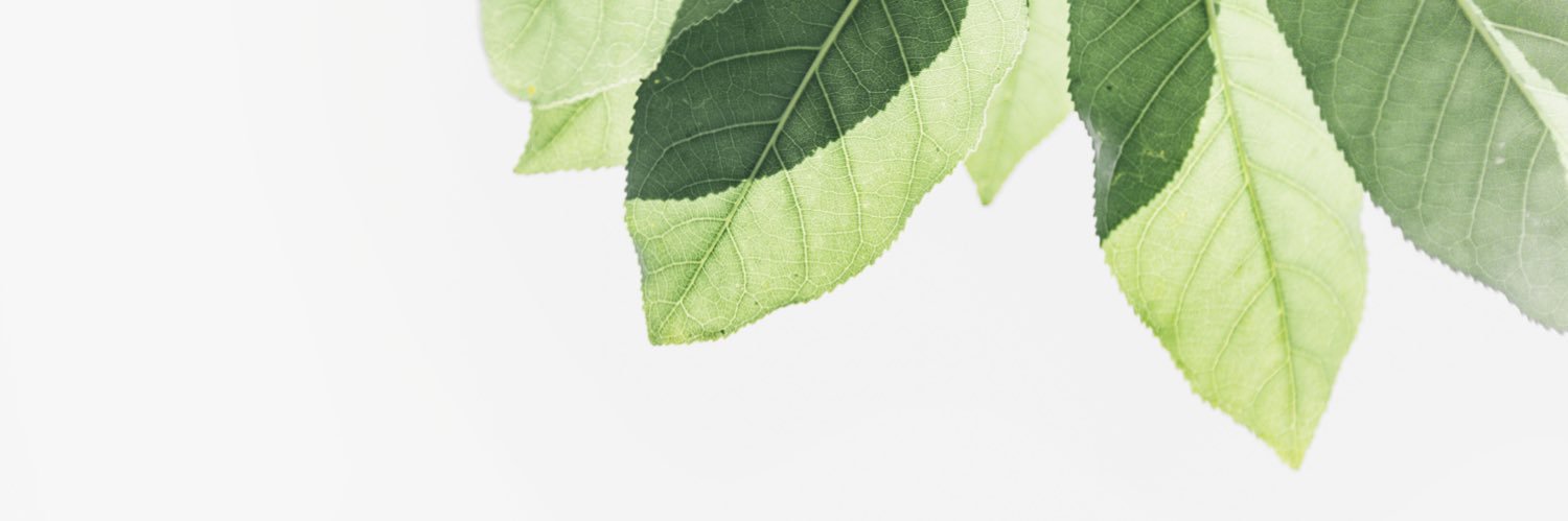 lideeuh_'s profile banner image