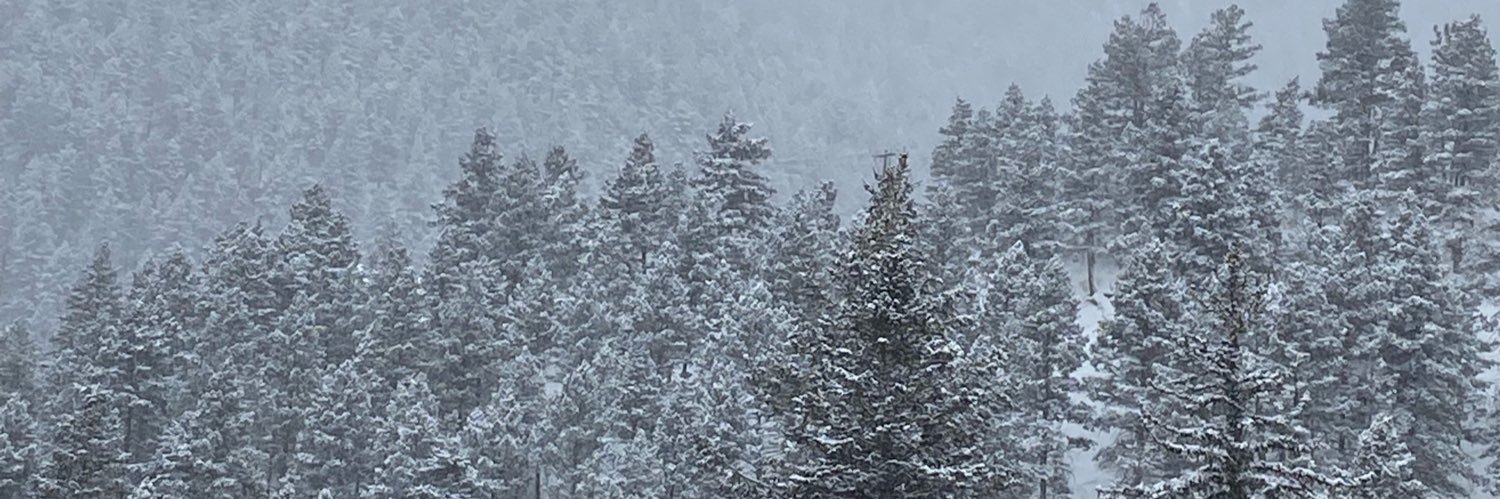 meg2595's profile banner image