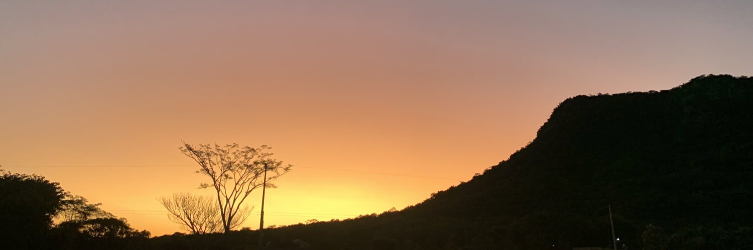 leilimn's profile banner image