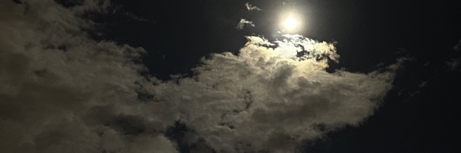 Manol_alk's profile banner image