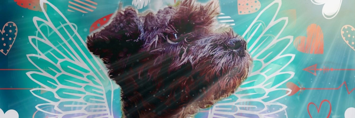 Uls242's profile banner image